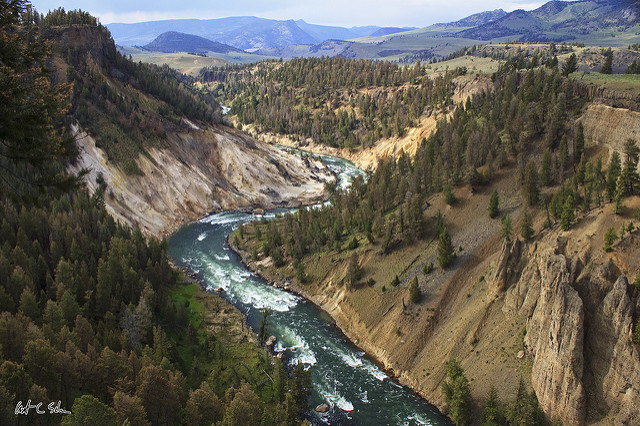 After Yellowstone, In Search of Nature