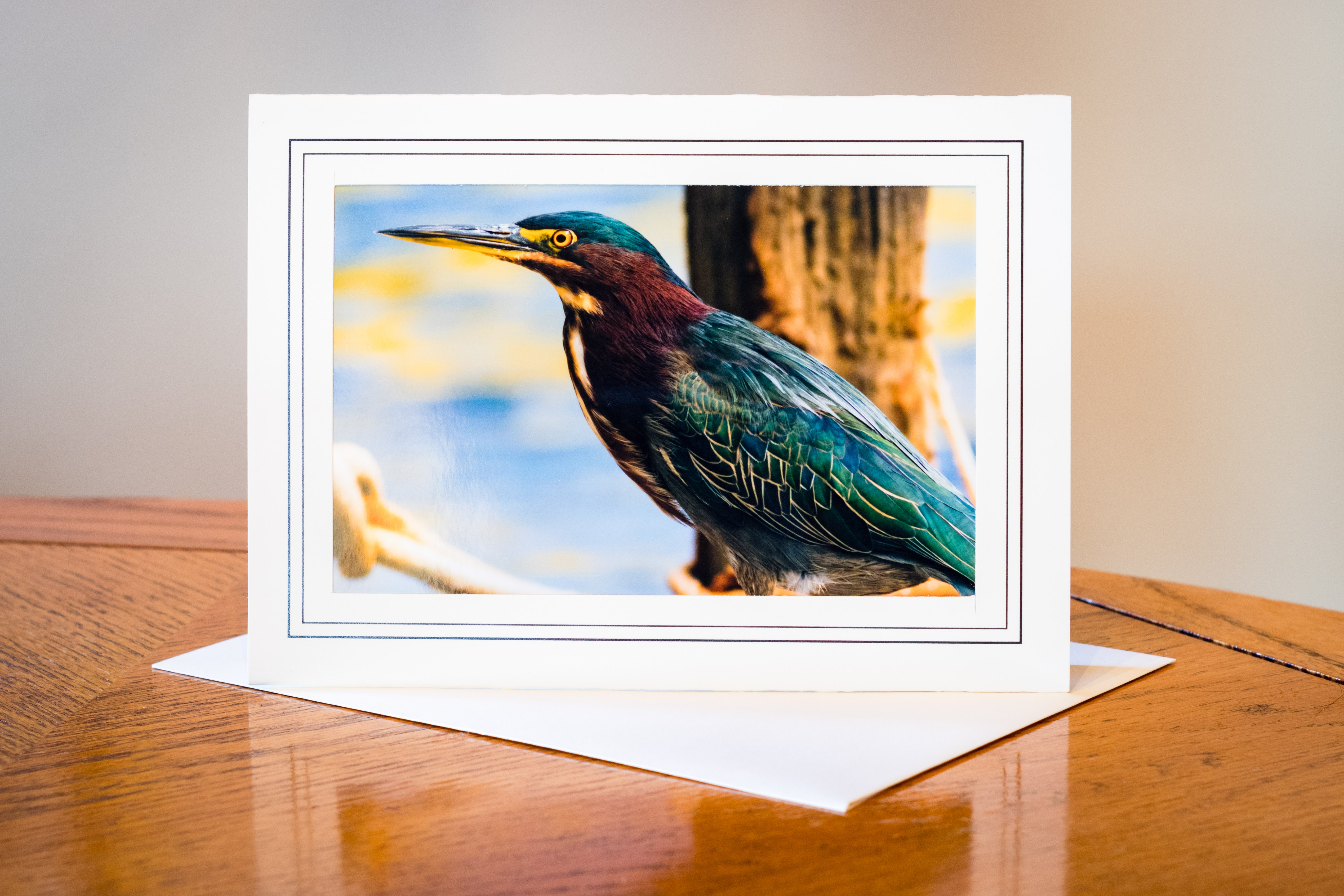 Green Heron Card photo