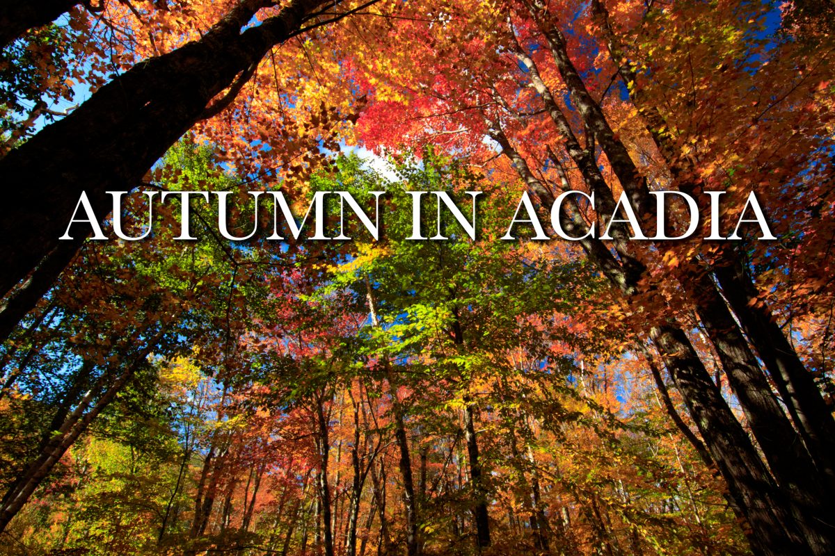 Time-Lapse Film: Autumn in Acadia