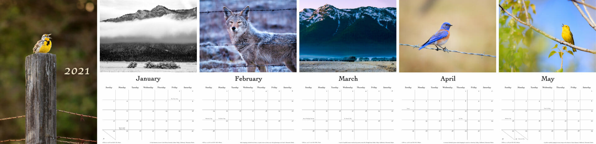 calendar conservation months 2021