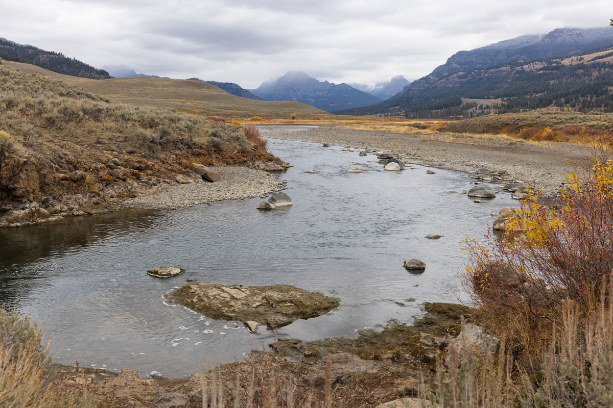 A Montana landscape