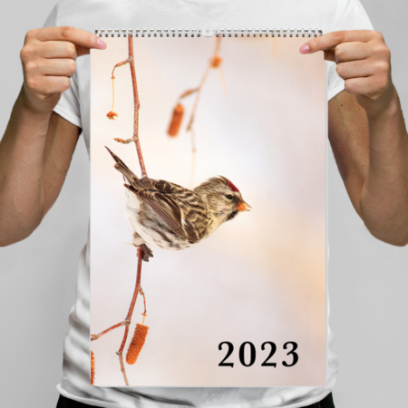 2023 Conservation Calendar